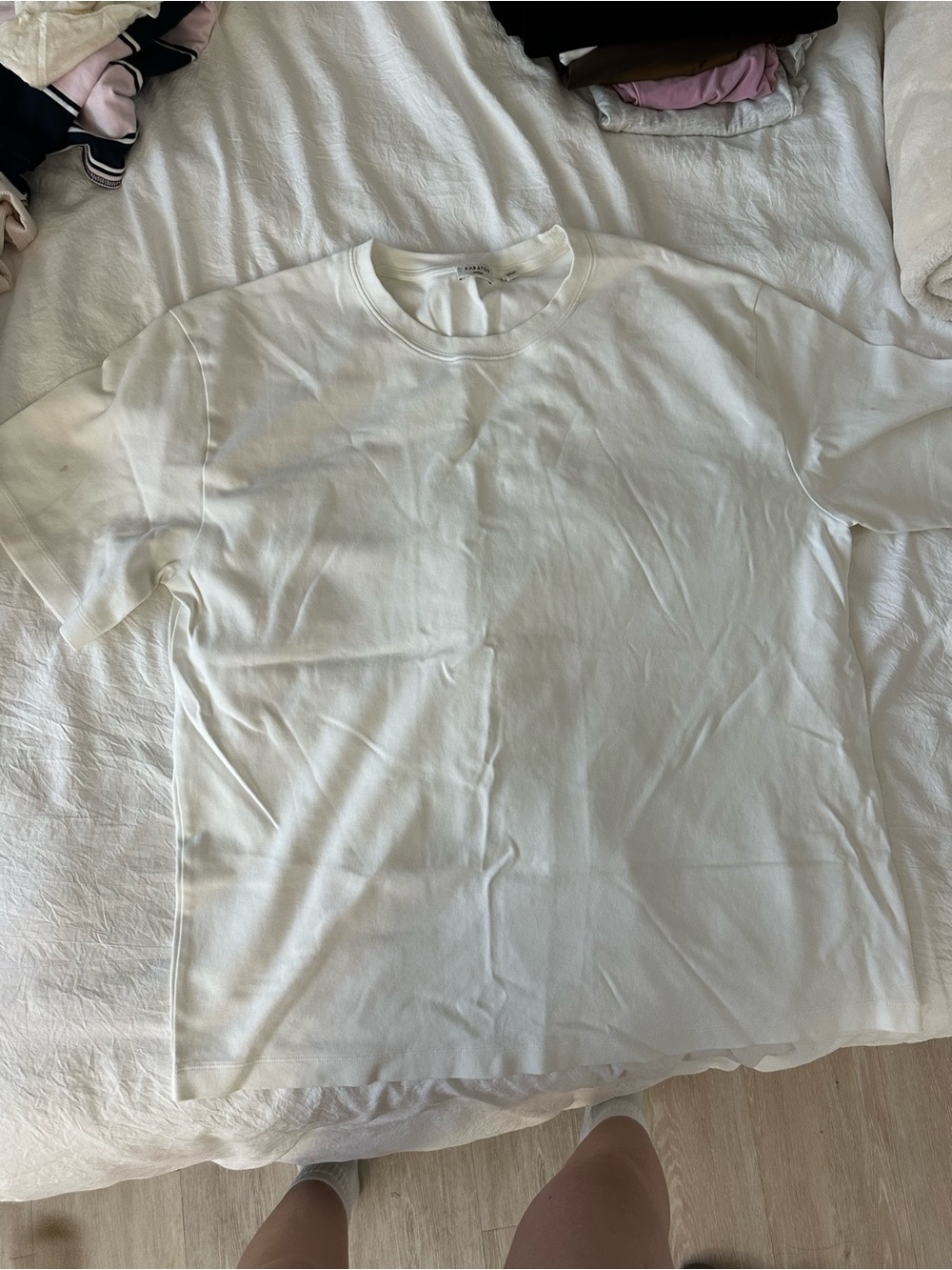 Aritzia Pegasus shirt